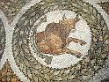 BARDO 00 (16)